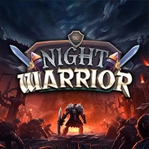 Night Warrior
